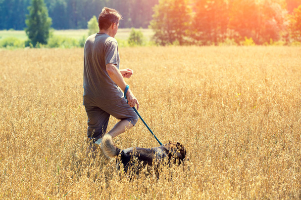 Man with dog on a leash running in an oat field in summer - Fotoğraf, Görsel