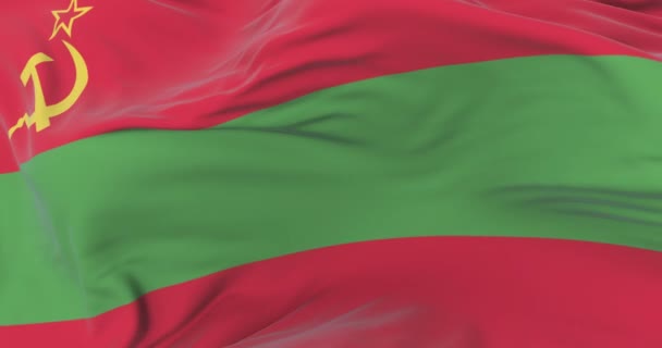 Transnistrië vlag zwaaien op wind in langzaam met blauwe hemel, lus - Video