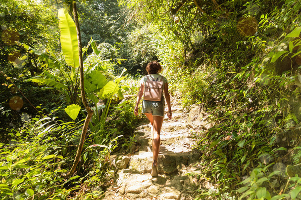 Young woman on trekking trail tropical rain forest - Photo, Image