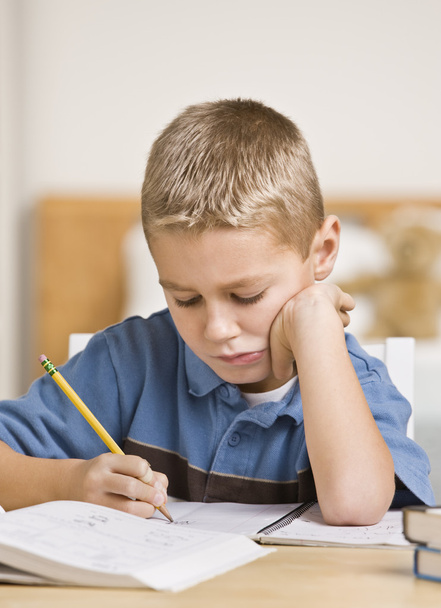 Boy Working on Homework - Photo, Image