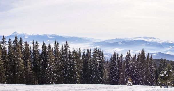 Winterlandschaft in den Karpaten. die wilde Natur Osteuropas - Foto, Bild