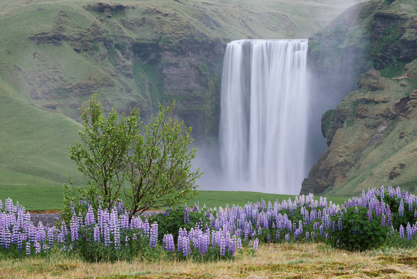 Paisaje con cascada Skogafoss, Islandia
 - Foto, Imagen