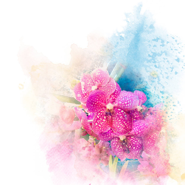 Ilustracja kwiat piękny storczyk. - Zdjęcie, obraz