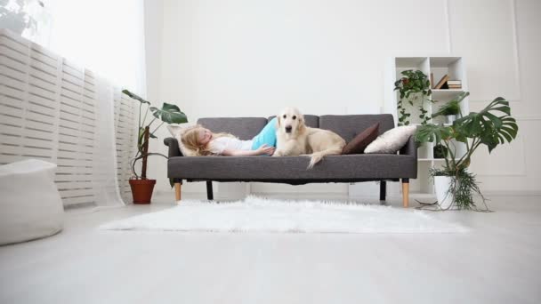 Zorg voor huisdieren. Een blond meisje lijnen haar hond met liefde in de woonkamer. Gelukkig golden retriever in de familie. - Video