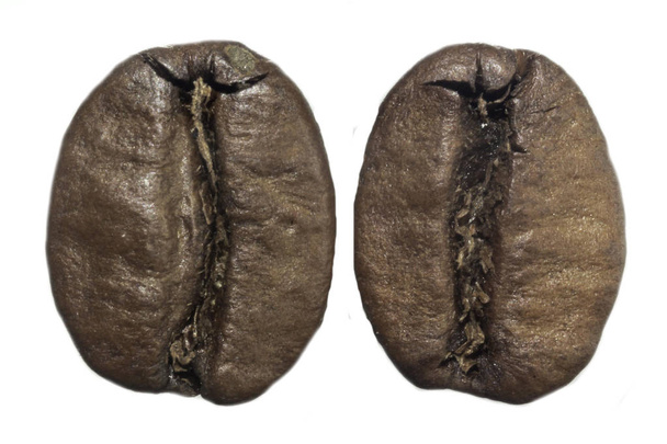 Макро фотографія двох смажених кавових зерен. Борошно посередині. На білому тлі. Фото для сайту про їжу, напої, здоров'я, бізнес
. - Фото, зображення