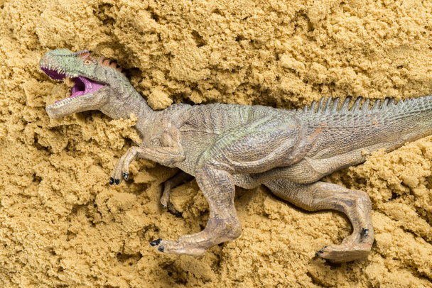 Allosaurus hayvan kazı kum kavramı üzerinde - Fotoğraf, Görsel