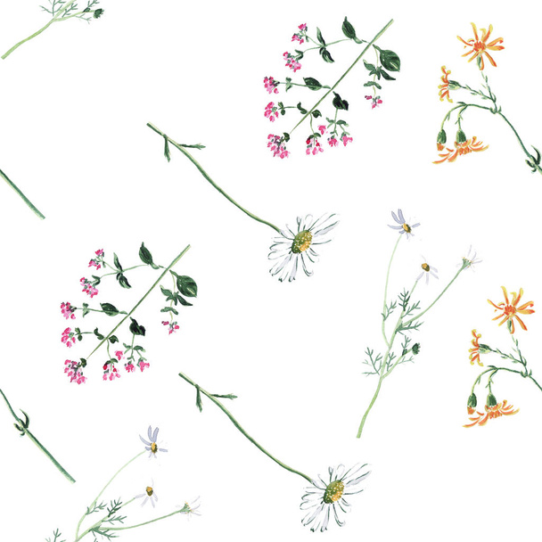 Seamless pattern - a floral watercolor sketch of chamomile, oregano and other wild flowers. - Foto, Bild
