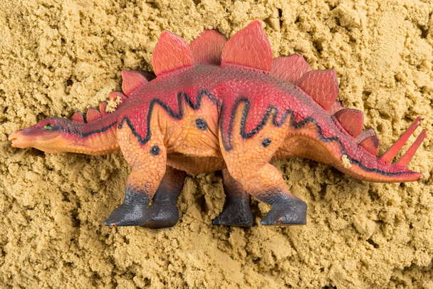 Στεγόσαυρος άμμο έννοια της ιστορικής εκσκαφή των ζώων - Φωτογραφία, εικόνα