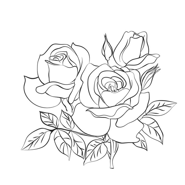 Rose sketch on white background - Vector, afbeelding