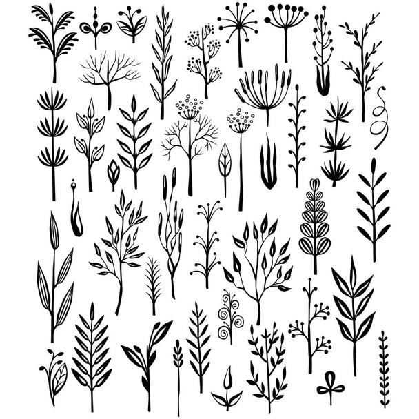 Set of rustic decorative plants - Wektor, obraz