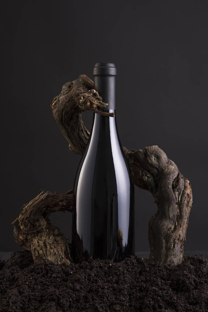Weinflasche mit Weinstock, um die Flasche zu umarmen, vom Herd und schwarzem Hintergrund - Foto, Bild