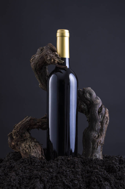Weinflasche mit Weinstock, um die Flasche zu umarmen, vom Herd und schwarzem Hintergrund - Foto, Bild