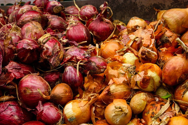 Zbliżenie świeże warzywa sprzedawane na rynku w Izraelu   - Zdjęcie, obraz
