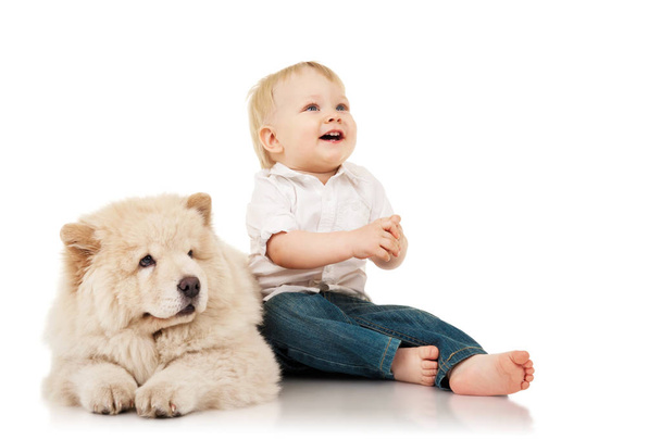 Little boy with chow-chow puppie - Φωτογραφία, εικόνα