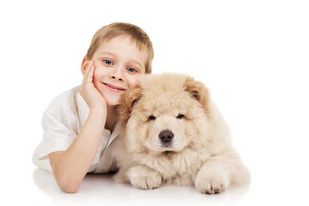 Little boy with chow-chow puppie - Fotó, kép