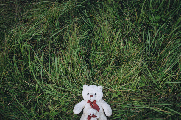 Two white plush toy teddy bears on green grass  - Fotoğraf, Görsel
