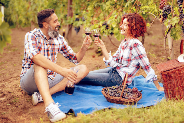 Όμορφο ευτυχισμένο ζευγάρι χαμογελώντας κουβεντιάζετε με κρασί για πετυχημένη συγκομιδή και έχοντας πικ-νικ σε ένα αμπέλι. - Φωτογραφία, εικόνα