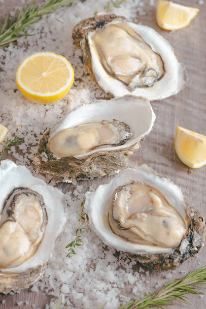Dozen fresh oysters on a sea salt and lemon. Top view - Fotó, kép