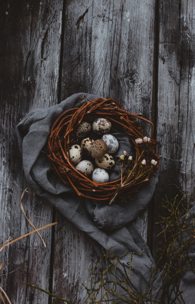 Quail eggs - Photo, Image