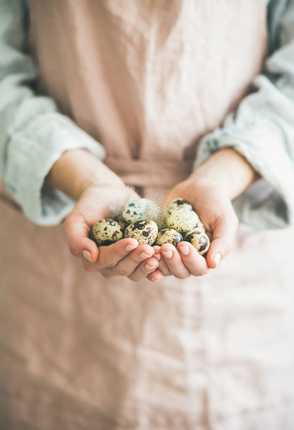 Easter holiday greeting card. Natural colored quail eggs in feminine hands with feather - Foto, Imagem