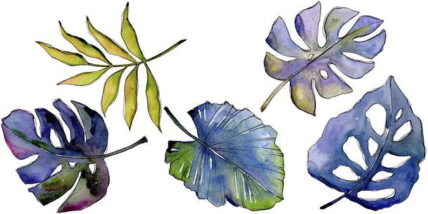 Tropical leaves in a watercolor style isolated. - 写真・画像