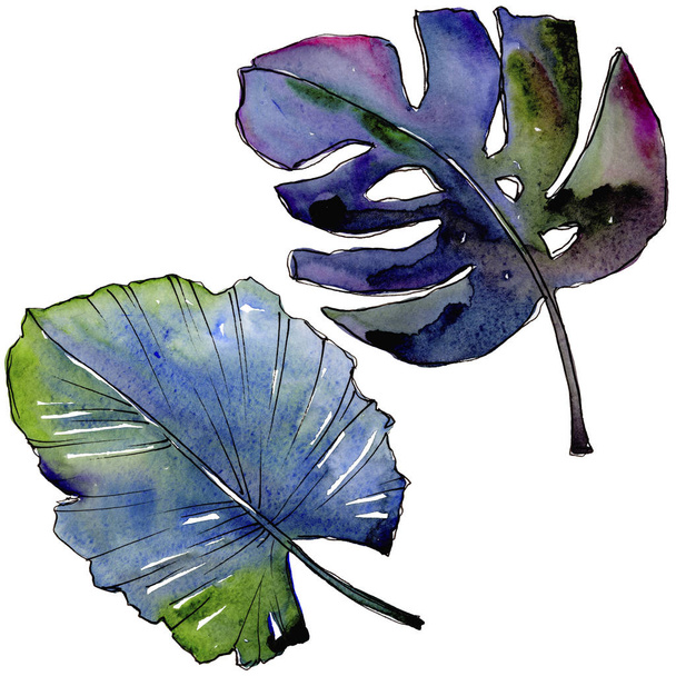 Tropical leaves in a watercolor style isolated. - Valokuva, kuva