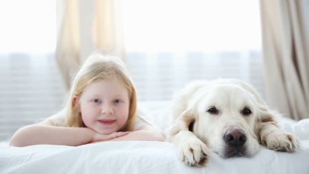 life of domestic pets in the family. a small blonde girl lies with her dog on the bed in the bedroom. - Video, Çekim