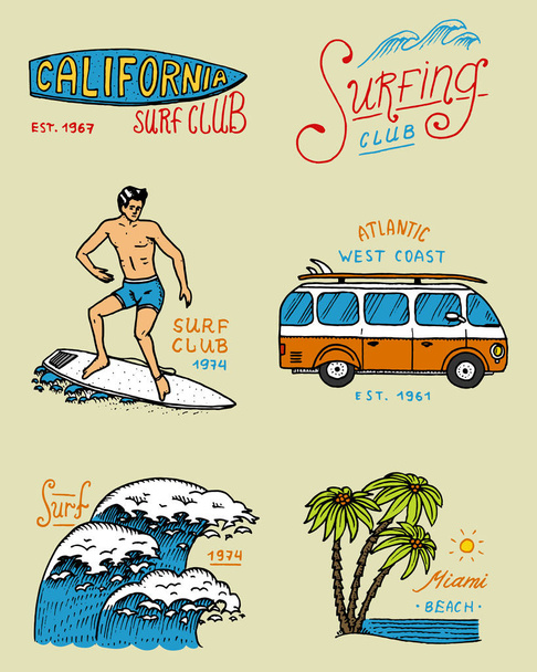 Surf odznak a wave, palmu a oceánu. tropy a Kalifornie. Muž na surfovací prkno, v létě na pláž a moře. rytým znakem ručně kreslené. Nápisu nebo plakátu. sporty na Havaji. - Vektor, obrázek