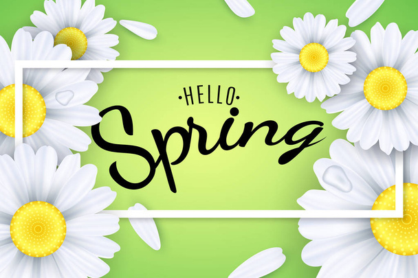 Hello spring. Seasonal poster. Camomiles flowers on a light green background. Text in a frame. Falling petals and drops of water. Vector illustration - Vetor, Imagem
