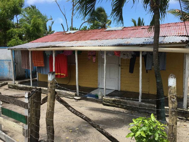Saona Adası'nın yerel konut ev  - Fotoğraf, Görsel