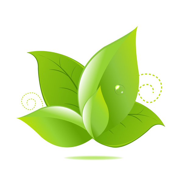 Green Leaves Icon - Vektor, kép