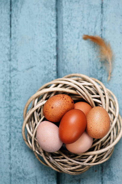 Hermosos huevos crudos en el nido
 - Foto, imagen