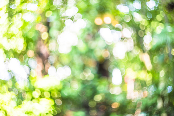 Fondo bokeh natural, fondo bio verde sano fresco con follaje borroso abstracto y luz solar brillante del verano. Naturaleza especial hojas verdes bokeh, Textura de fondo
. - Foto, Imagen
