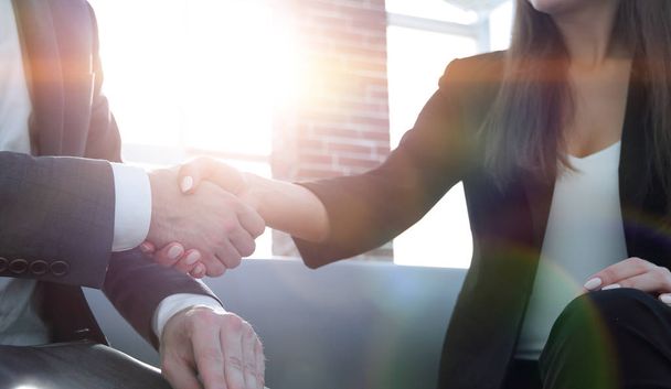 Businessman shaking hands to seal a deal with his partner - Fotoğraf, Görsel