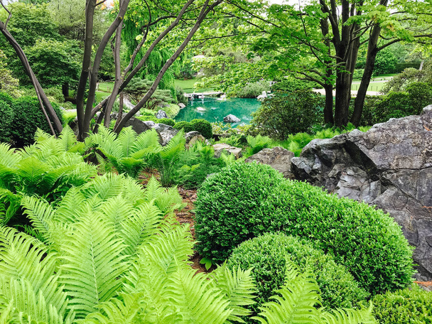 Beau jardin vert frais avec un étang turquoise
 - Photo, image