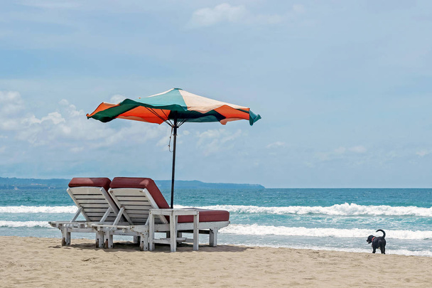 chairs with parasol on beach - Photo, Image