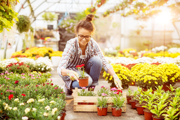 hermosa joven jardinero profesional femenino trabajando en invernadero moderno
  - Foto, imagen