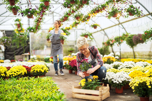 két szép fiatal női profi kertészek dolgozó modern üvegházhatású  - Fotó, kép