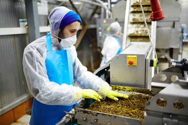 Giovane in uniforme che lavora alla linea di produzione di insalate di alghe
 - Foto, immagini
