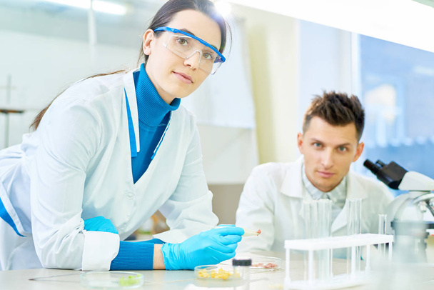 Retrato de grupo de jóvenes científicos talentosos con batas blancas mirando a la cámara mientras están sentados en el escritorio del laboratorio y realizando experimentos
 - Foto, Imagen