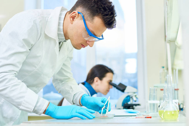 Profilbild eines konzentrierten Wissenschaftlers, der die Qualität einer In-vitro-Fleischprobe untersucht, während seine Kollegin das Mikroskop benutzt, im Hintergrund das Innere eines modernen Labors - Foto, Bild