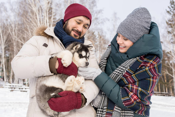 Pasa w górę portret nowoczesne Młoda para trzymając urocza szczeniak husky i przytulanie się z nim na zewnątrz na zimowe wieczory - Zdjęcie, obraz
