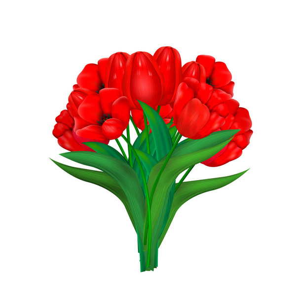 bouquet of red tulips isolated on white background. Vector illustration - Vector, Image