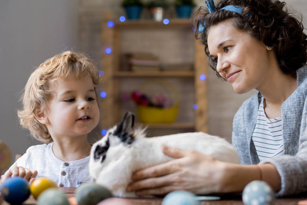 Portrait of curly blond boy playing with white pet bunny while celebrating esater at home with mom - Photo, Image