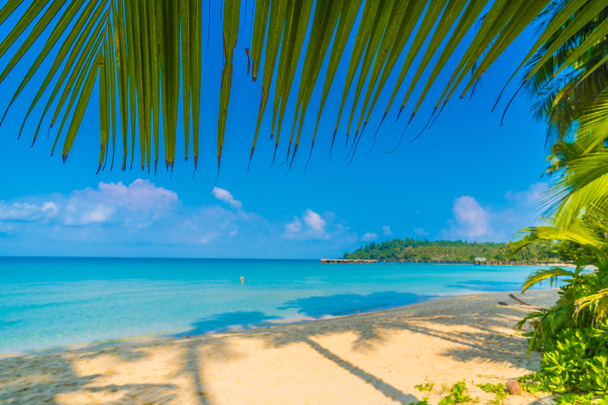 красивый тропический пляж и море - Фото, изображение