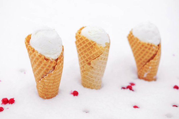 jäätelöä vohveli kartio punaisia marjoja herukka lumessa
 - Valokuva, kuva