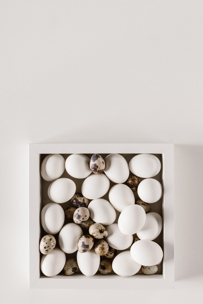 top view of chicken and quail eggs in box on white - Photo, Image