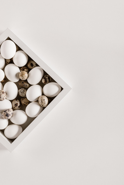 horní pohled na kuřecí a křepelčích vajec v rozevíracím seznamu, izolované na bílém - Fotografie, Obrázek