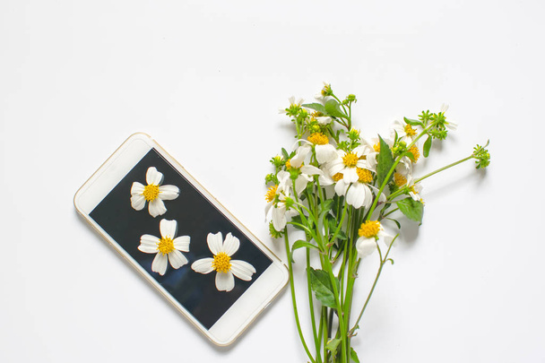 Wildflowers and smartphone decoration isolated on white background - Fotoğraf, Görsel