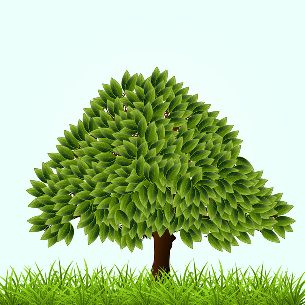 vector illustratie van een groene boom. - Vector, afbeelding